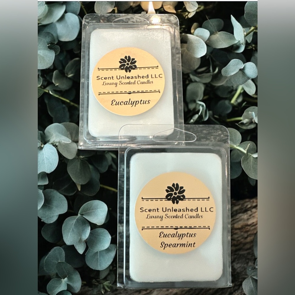 Eucalyptus Spearmint /Eucalyptus Wax Melts - White